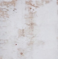 Bridget Griggs abstract art/ Toronto abstract artist