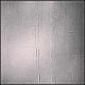 Bridget Griggs abstract paintings/ Toronto abstract artist/ black and white paintings, contemporary