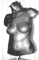 Female torso 2