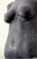 Female Torso