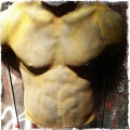 Male Torso