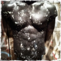 Male Torso